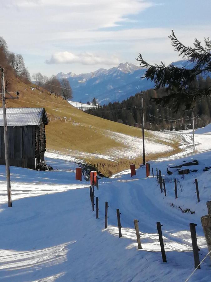 Haus Jessica Incl National Park Sommercard Mittersill Kültér fotó