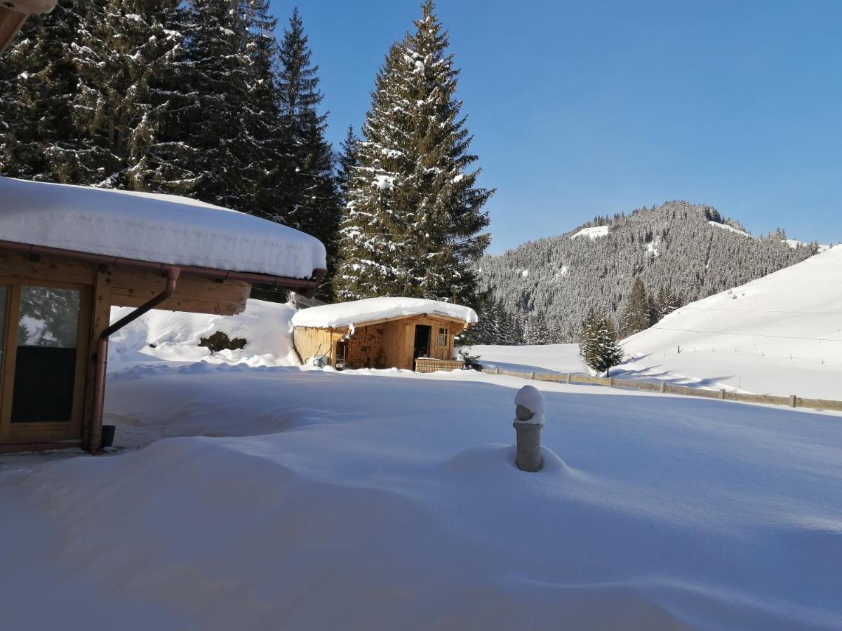 Haus Jessica Incl National Park Sommercard Mittersill Kültér fotó